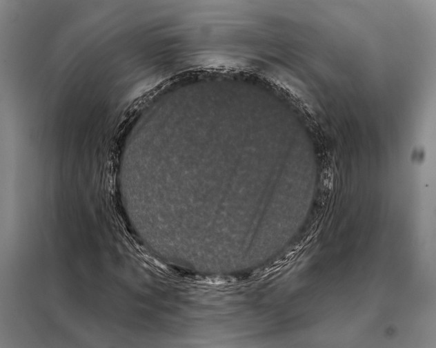 X0000097970869200804211009