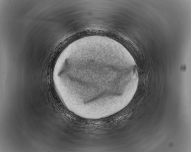 X0000097970870200804211009