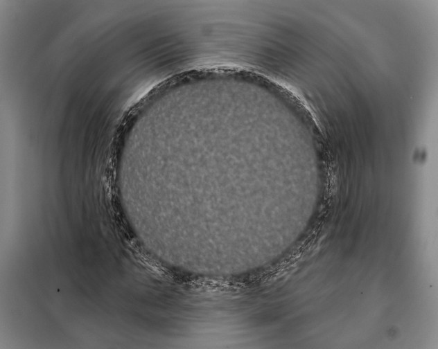 X0000097970871200804211009