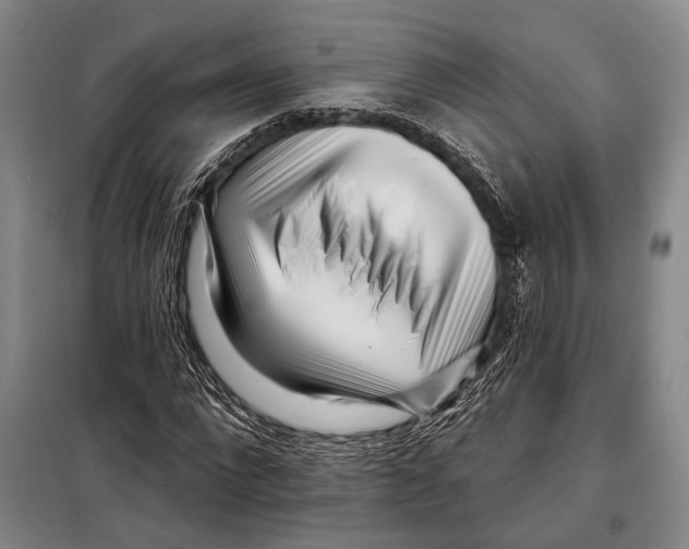 X0000097970872200804211009