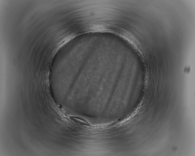 X0000097970873200804211009