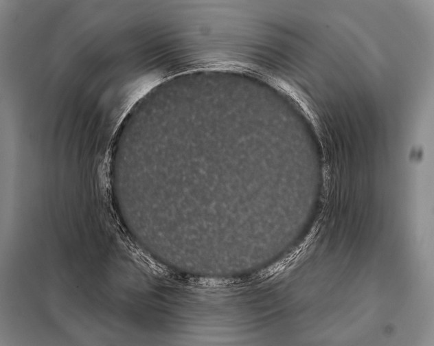 X0000097970875200804211008