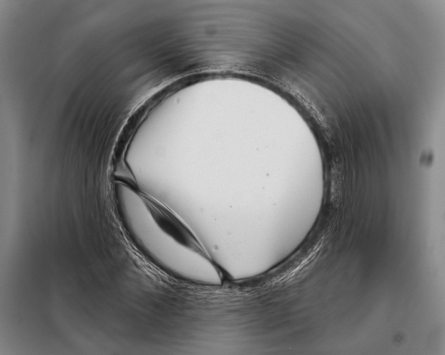 X0000097970876200804211008