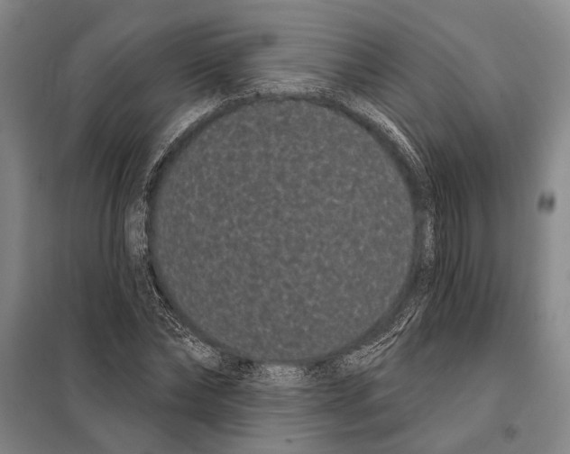 X0000097970878200804211008