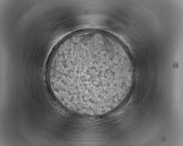 X0000097970879200804211008