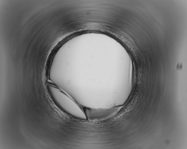 X0000097970880200804211008