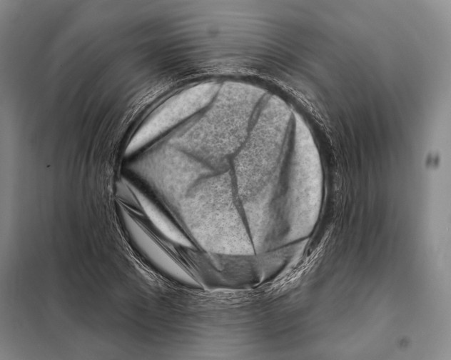 X0000097970881200804211008