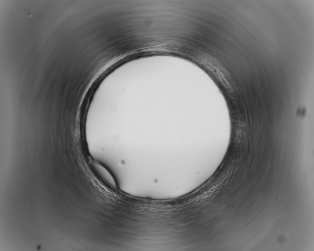 X0000097970884200804211008