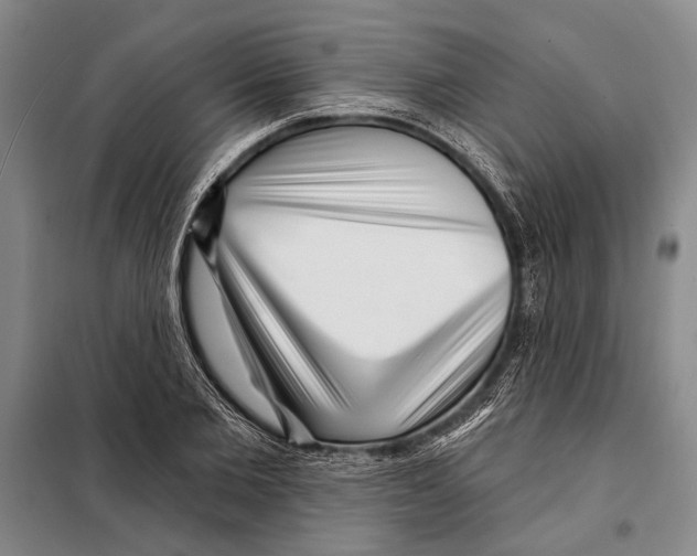 X0000097970885200804211008