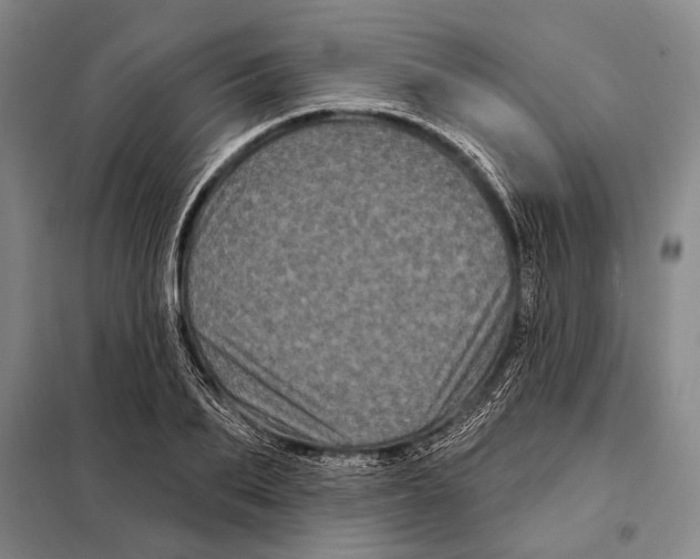 X0000097970887200804211008
