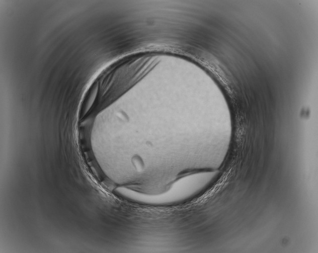 X0000097970888200804211008
