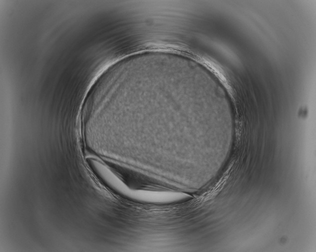 X0000097970891200804211008