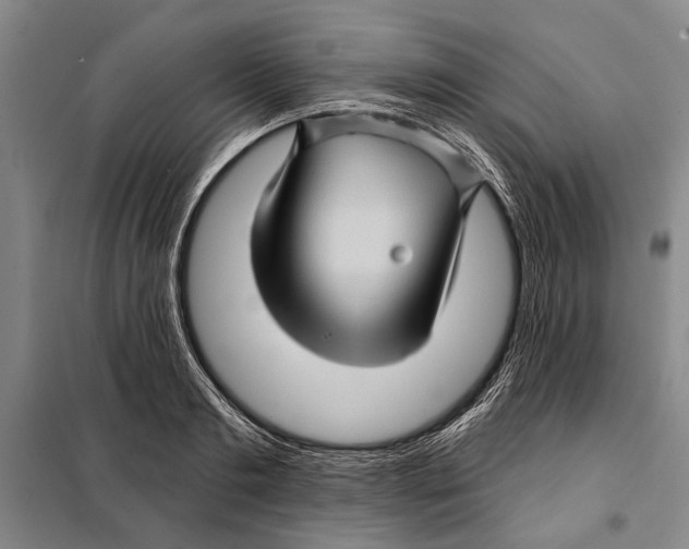 X0000097970893200804211008