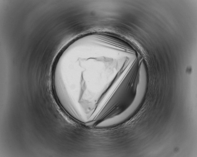 X0000097970894200804211008