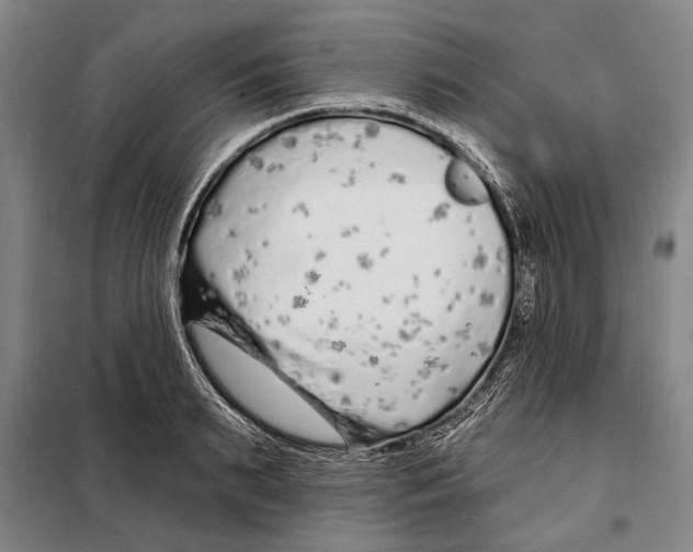 X0000097970895200804211008