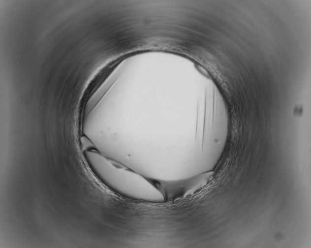 X0000097970896200804211008