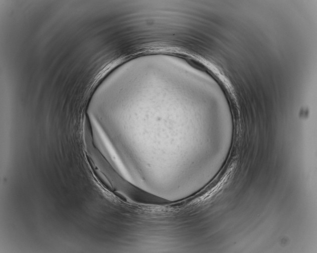 X0000097970897200804211008
