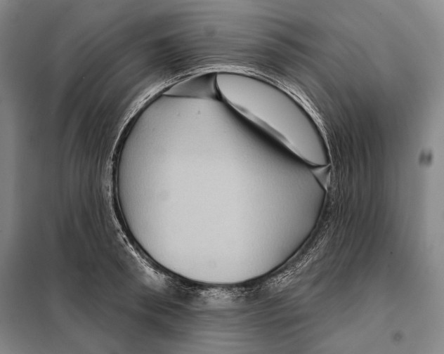 X0000097970898200804211008