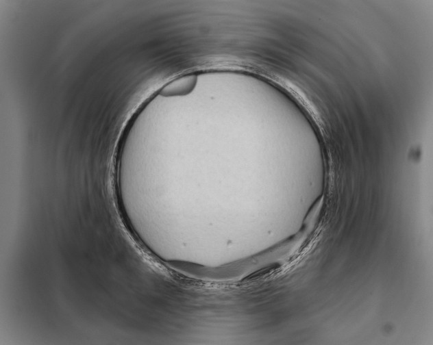 X0000097970901200804211008