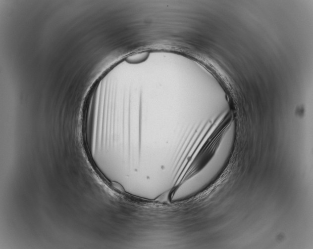 X0000097970902200804211008