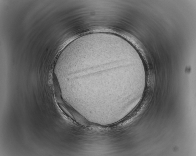X0000097970905200804211008