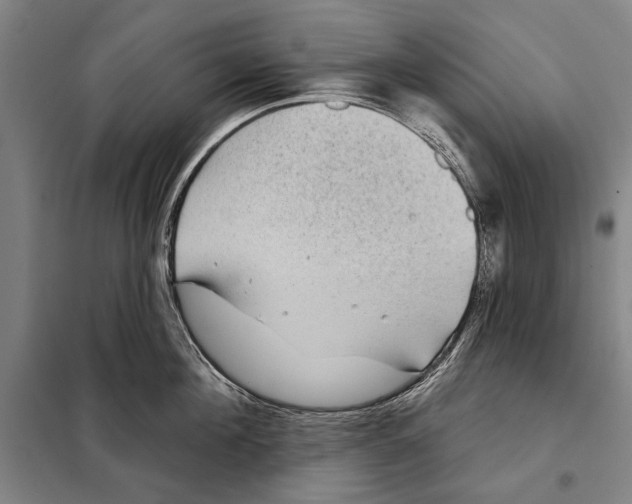 X0000097970908200804211008