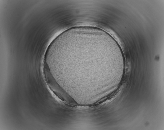 X0000097970909200804211008