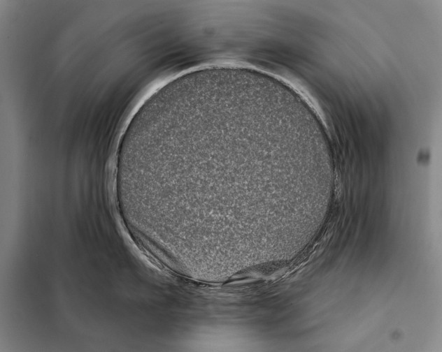 X0000097970911200804211008