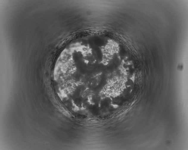 X0000097970913200804211007