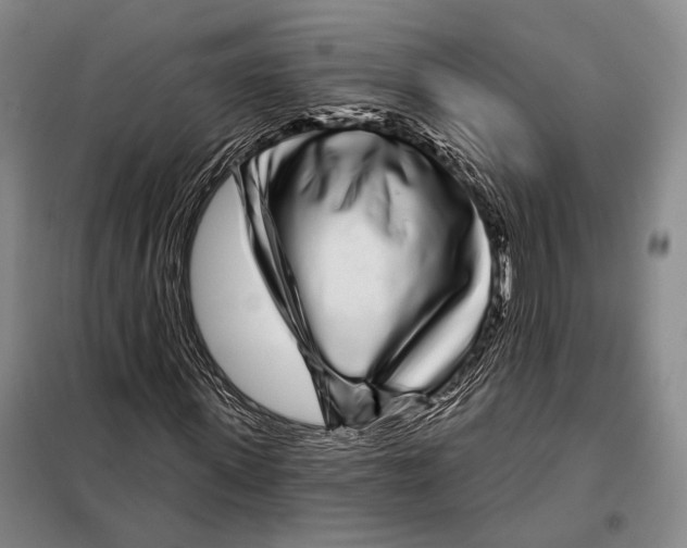 X0000097970915200804211007