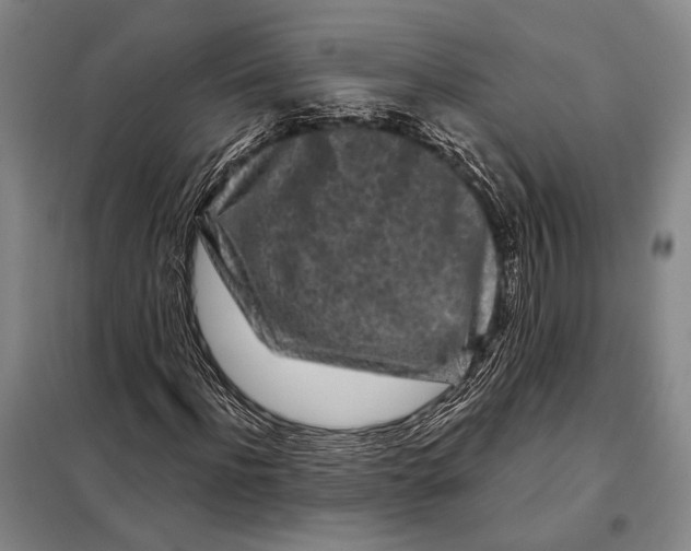 X0000097970916200804211007