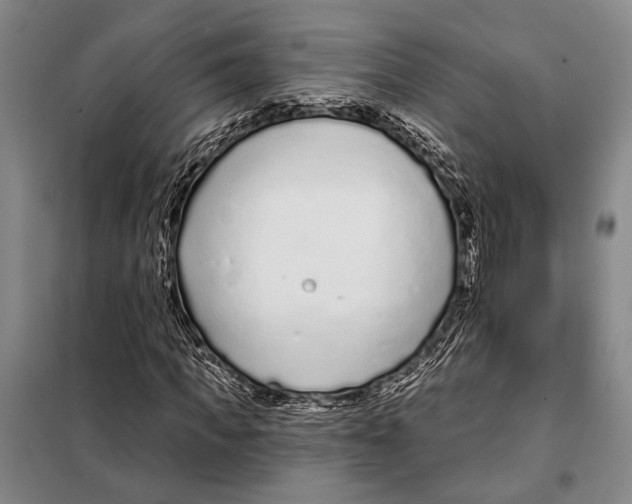 X0000097970917200804211007