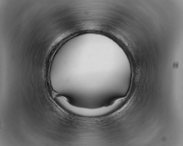X0000097970922200804211007
