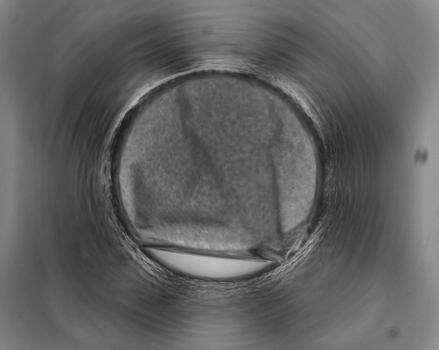 X0000097970923200804211007