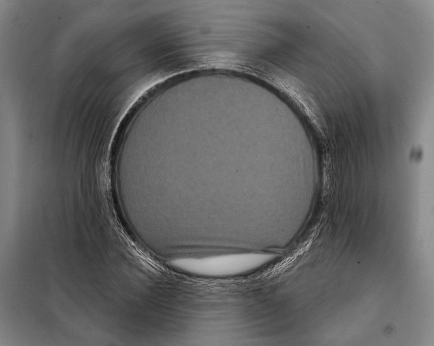 X0000097970924200804211007