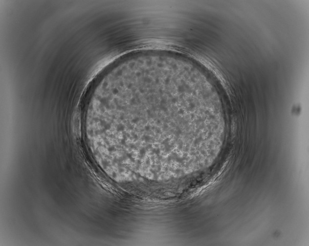 X0000097970925200804211007