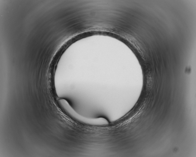 X0000097970926200804211007