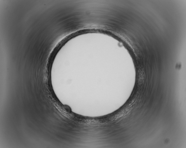 X0000097970927200804211008