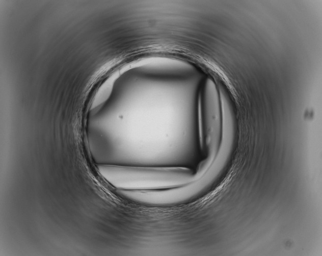 X0000097970930200804211008
