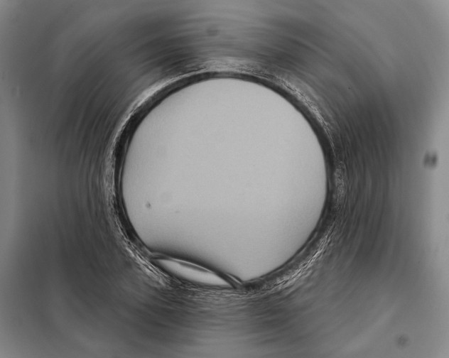 X0000097970931200804211008