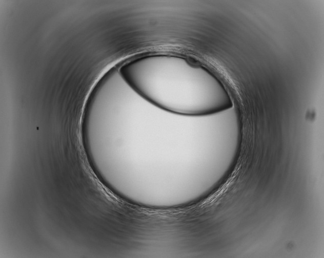 X0000097970932200804211008