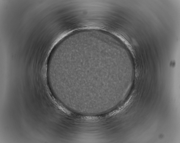 X0000097970933200804211008