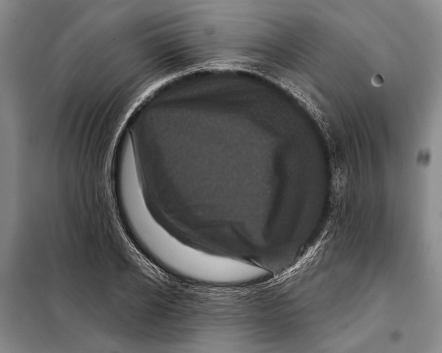X0000097970934200804211008