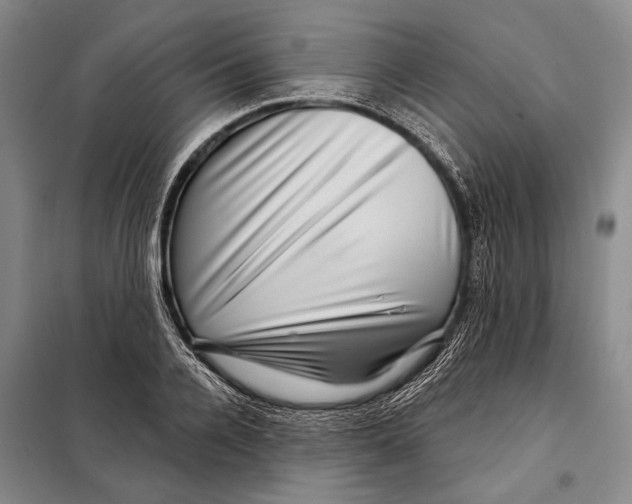 X0000097970936200804211008