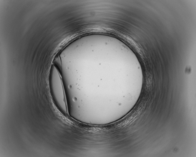 X0000097970938200804211008