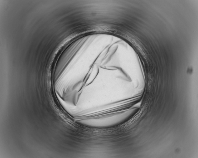 X0000097970939200804211008