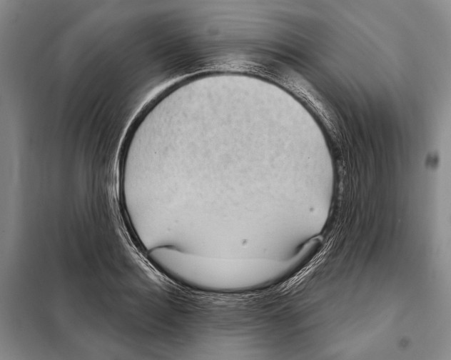 X0000097970940200804211008