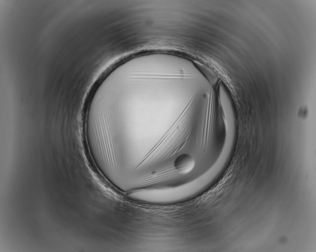 X0000097970942200804211008