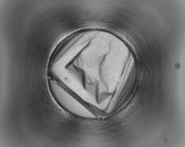 X0000097970943200804211008