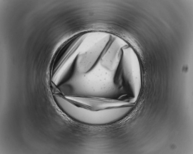 X0000097970944200804211008